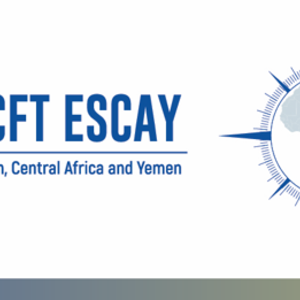 AML-CFT ESCAY | Civipol